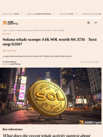 Whale buys $8.4M Solana (SOL) but chart signals reversal