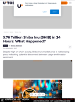 5.76 Trillion Shiba Inu (SHIB) in 24 Hours: What Happened?