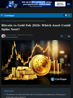 Bitcoin vs Gold Feb 2026: Which Asset Could Spike Next?