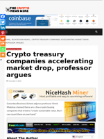 Crypto treasury companies accelerating market drop, professor argues - The Crypto News Wire
