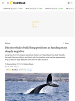 What next as Bitcoin (BTC) whales go long despite bearish bets piling up