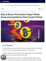 Why Is Bitcoin Down Today? Whale Dump and Crypto Liquidations
