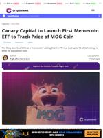Canary Capital Files for MOG Coin ETF With US SEC