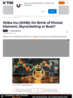 Shiba Inu (SHIB): On Brink of Pivotal Moment, Skyrocketing or Bust?