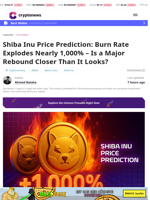 Shiba Inu Price Prediction: Burn Near 1,000%, Rebound?