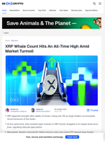 XRP Whales Flash Major Green Signal – Here’s What Happened