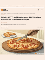 Whales & ETFs fuel Bitcoin surge: $3.02B inflows spark $106K price breakout hopes - AMBCrypto