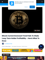 Bitcoin Current Downward Trend Fails To Shake Long-Term Holder Profitability - Here’s What To Know | Bitcoinist.com