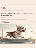 Analyzing FLOKI's rebound and what it means for its next price rally - AMBCrypto