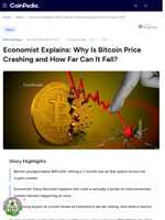 Economist Explains: Why Is Bitcoin Price Crashing and How Far Can It Fall? 