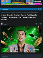 Raoul Pal Signals Rising Liquidity Amid Bitcoin Selloff