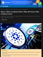 Here's How Cardano Price May 6X From This Critical Level