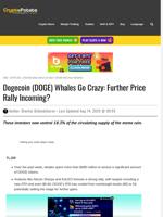 Dogecoin (DOGE) Whales Go Crazy: Further Price Rally Incoming?