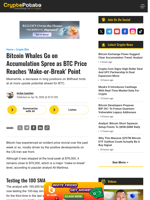 Bitcoin Whales Go on Accumulation Spree as BTC Price Reaches 'Make-or-Break' Point