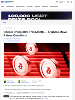 Did a Whale Trigger Bitcoin’s Recent Price Slide?