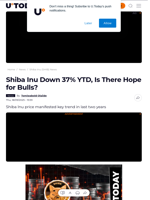 Shiba Inu Down 37% YTD, Is There Hope for Bulls? - U.Today