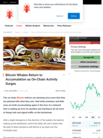Bitcoin Whales Return to Accumulation as On-Chain Activity Surges - NullTX