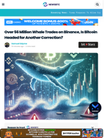 Over 56 Million Whale Trades on Binance, Is Bitcoin Headed for Another Correction?