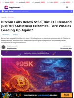 Bitcoin Falls Below $95K, But ETF Demand Just Hit Statistical Extremes – Are Whales Loading Up Again?