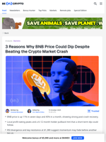 BNB Price Breaks Out — But Could a Dip Be Coming Next?