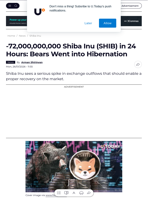 -72,000,000,000 Shiba Inu (SHIB) in 24 Hours: Bears Went into Hibernation - U.Today