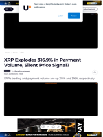 XRP Explodes 316.9% in Payment Volume, Silent Price Signal? - U.Today