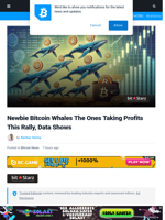Newbie Bitcoin Whales The Ones Taking Profits This Rally