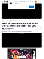 Shiba Inu: Shibarium Hit With 99.8% Drop as Transactions Hit Rare Low - U.Today
