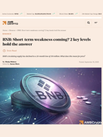 BNB: Short-term weakness coming? 2 key levels hold the answer - AMBCrypto