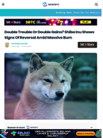 Double Trouble Or Double Gains? Shiba Inu Reversal Signs Loom