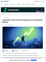 3 Altcoins That Are Not in a Bear Market and Could Rally