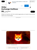 Shiba Inu (SHIB) Loses 65% of Daily Exchange Outflows - U.Today