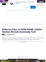 Shiba Inu Exec on SHIB, BONE, LEASH: 'Darkest Periods Eventually Turn' - U.Today
