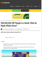 900,000,000 XRP Bought in a Month: What Do Ripple Whales Know?