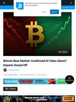 Bitcoin Bear Market: Confirmed Or False Alarm? Experts Sound Off