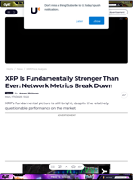 XRP Is Fundamentally Stronger Than Ever: Network Metrics Break Down - U.Today