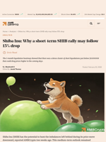 Shiba Inu: Why a short-term SHIB rally may follow 15% drop - AMBCrypto
