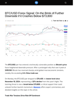 BTC/USD Forex Signal: On the Brink of Further Downside if it Crashes Below $73,800 - Visionary Financial