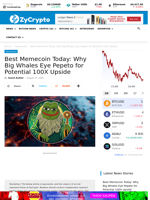 Best Memecoin Today: Why Big Whales Eye Pepeto for Potential 100X Upside