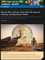 Bitcoin Hits $124.4k: How Much Do SpaceX, Strategy and Big Buyers Hold?
