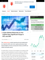 Crypto Market Rebounds as Hot Capital Sees Significant Surge in SOL and XRP - NullTX