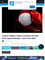 Cardano Outflows Surge As Investors Pull ADA From Crypto Exchanges - Here’s How Much | Bitcoinist.com