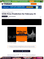 SHIB Price Prediction for February 15