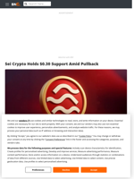 Sei Crypto Holds $0.30 Support Amid Pullback - Brave New Coin