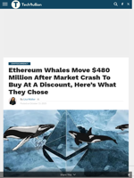 Ethereum Whales Move $480 Million After Market Crash To Buy At A Discount, Here’s What They Chose
