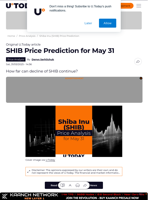 SHIB Price Prediction for May 31