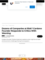 Dozens of Companies at Risk? Cardano Founder Responds to Critics With Warning - U.Today