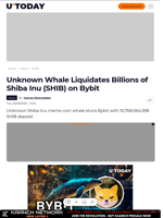 Unknown Whale Liquidates Billions of Shiba Inu (SHIB) on Bybit