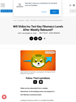 Will Shiba Inu Test Key Fibonacci Levels After Weekly Rebound?