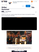 Shiba Inu (SHIB): Biggest Loss of This Summer